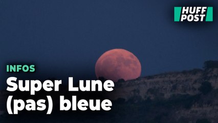 La « super lune bleue » du 19 août a fait des heureux, en voici les splendides images