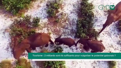 [#Reportage] Tourisme : 2 milliards sont-ils suffisants pour vulgariser le potentiel gabonais ?