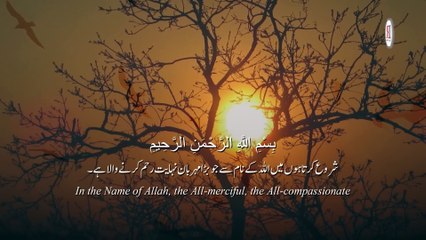 Relaxing Recitation of Surah Rahman _ Surah Rahman Tilawat with English & Urdu Subtitles