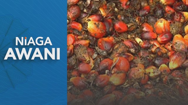 Harga minyak sawit mentah diunjur naik ke RM4,000 satu tan