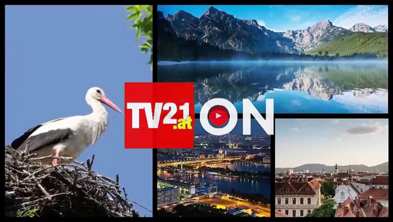 Tirol - Ausblick nach den Murenabgängen