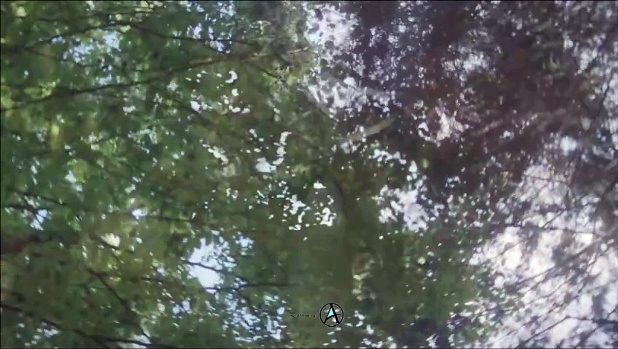 House of the Dragon Season 1, Episode 4: A Royal Scandal Unfolds