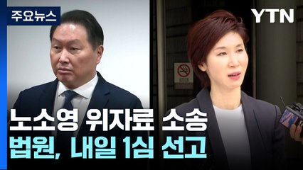 노소영, 최태원 동거인 상대 위자료 소송...내일 1심 선고 / YTN