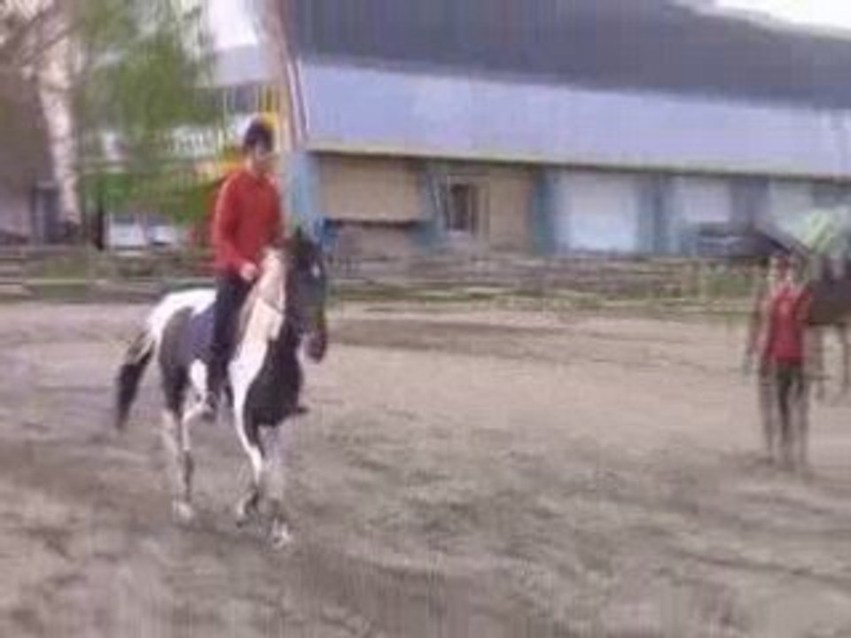 saut