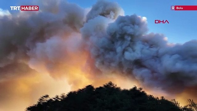 Bolu'da yangına müdahale eden orman işçisi şefini kurtarmadan bölgeden ayrılmadı