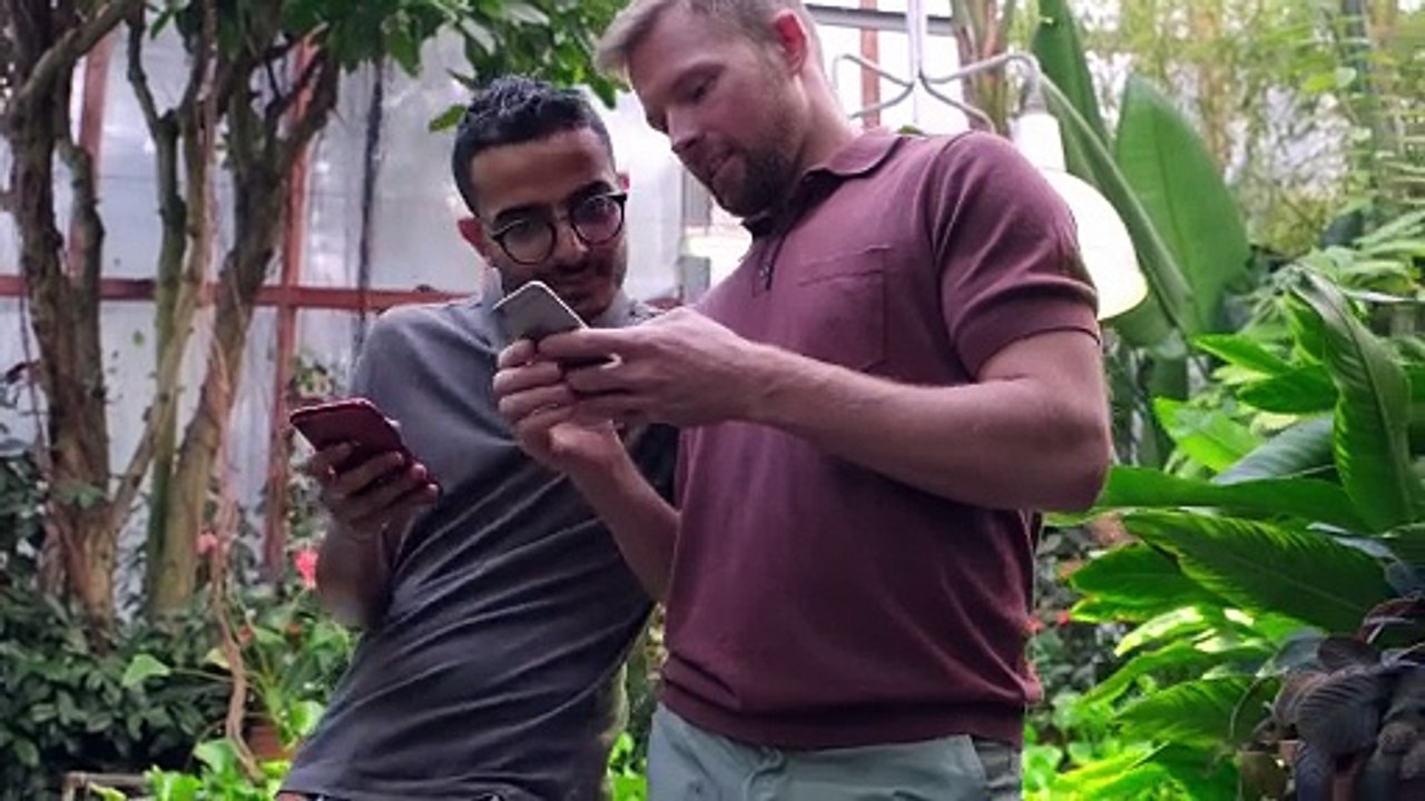 Men looking smartphones