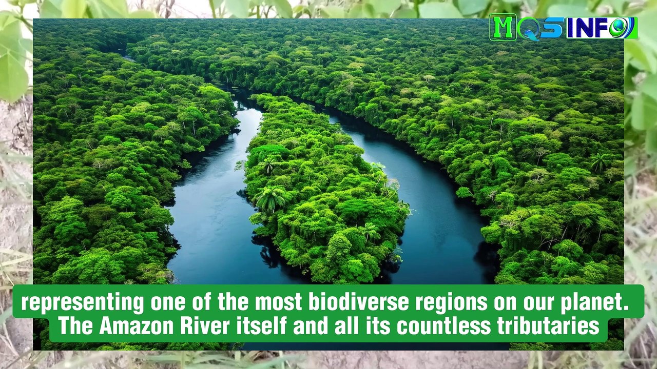 Amazon River Facts - Did You Know About Amazon River - MQS info #facts ...