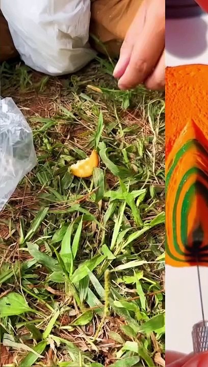 rescue baby #funnyvideo #decompression #unexpected