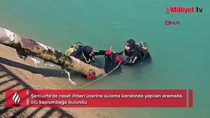 Ceset ihbarı alarma geçirdi! Gerçek bambaşka çıktı