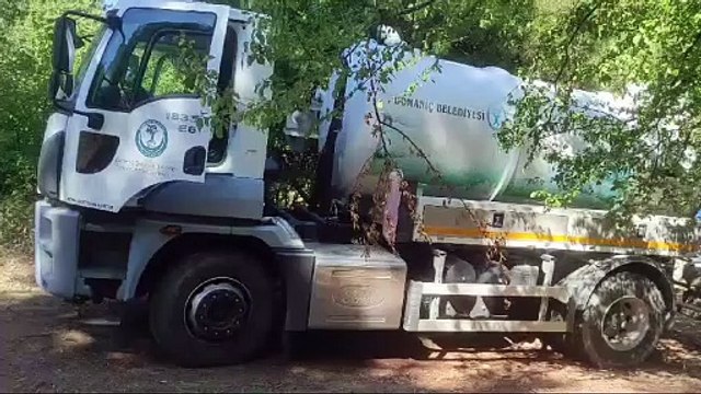 Hadi konuşun bakalım hayvan severler! CHP’li belediye katliam yapıyor