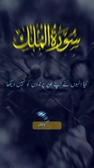 Surah Al Mulk | Islamic Short | mr_heart_broken123 #noorislamictvofficial