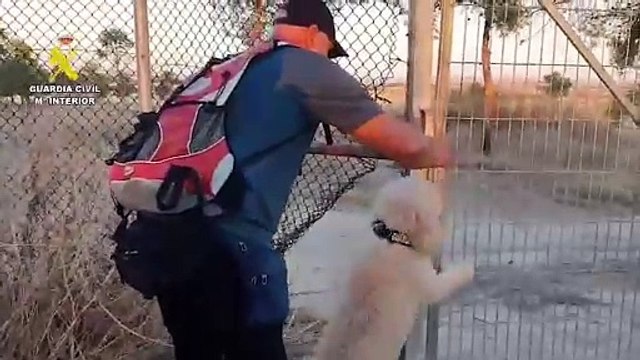 Continúa la búsqueda del arma homicida del crimen de Mocejón