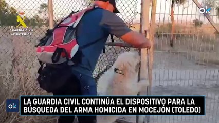 La Guardia Civil continúa el dispositivo para la búsqueda del arma homicida en Mocejón (Toledo)