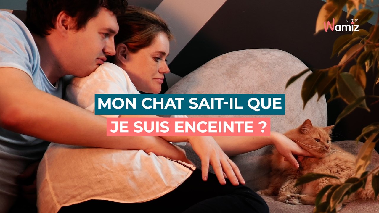 Mon chat sait-il que je suis enceinte ?