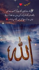 Allah py umeed kabhi ni chorni chahye