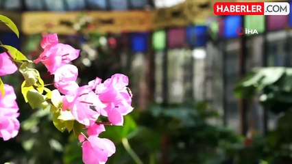 Tarihinde ilk kez kapılarını halka açan Yıldız Sarayı'nı 1 ayda 200 bine yakın turist gezdi