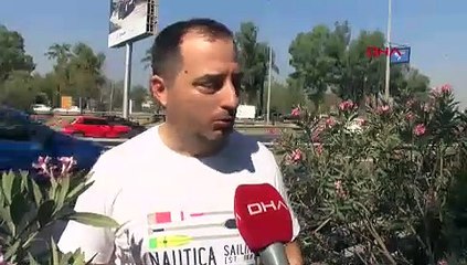 İzmir'de vahim görüntüler: Yüzlerce ölü balık kıyıya vurdu