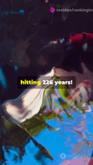 Top 10 longest living animals!