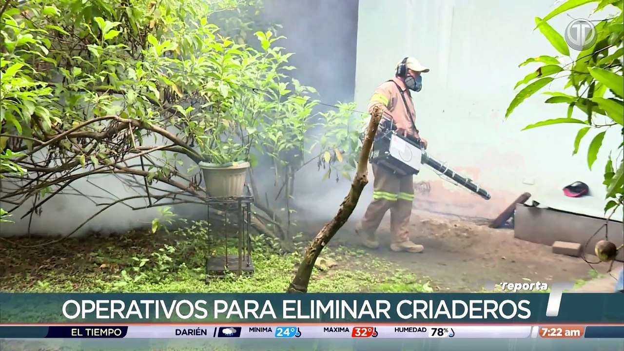 Algis Torres.mp4
