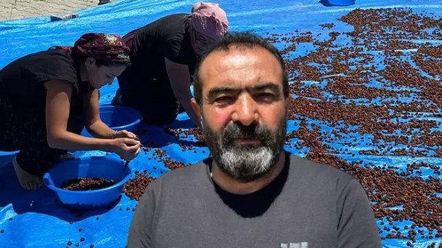 Yozgat’tan Japonya’ya kiraz ihracatı