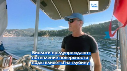 Потепление в Средиземноморье и его последствия