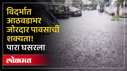 विदर्भात आठवडाभर येणार जोरदार पाऊस