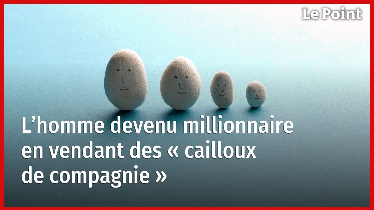 L’homme devenu millionnaire en vendant des « cailloux de compagnie »