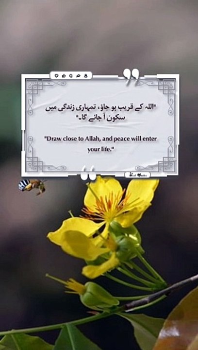 Best Quotes