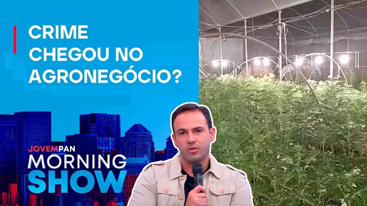 Plantação de MACONHA é DESCOBERTA pela PM; ENTENDA com David de Tarso