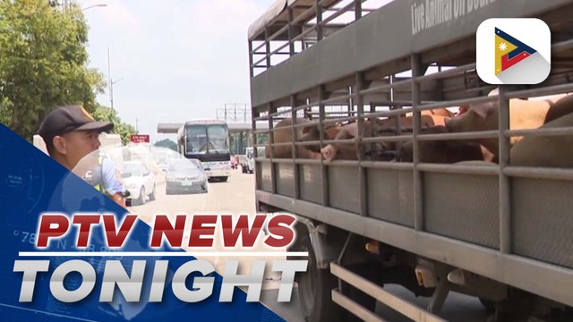 D.A. begins orientation for vax drive vs. ASF in Batangas