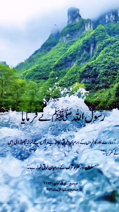 Islami video
