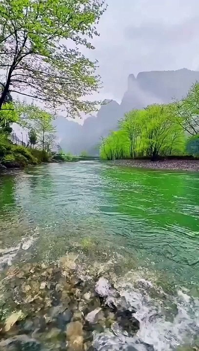 Islami video