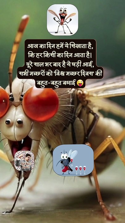 मच्छरों का दिन   #shorts #shortsfeed #worldmosquitoday #trending #AmitKaviKumar
