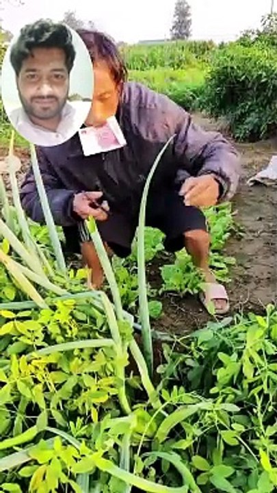 Funny Videos