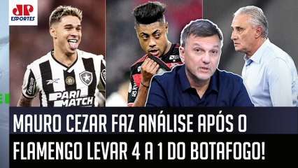 "NÃO É TERRA ARRASADA no Flamengo! E as PESSOAS SE ESQUECEM, mas o Botafogo..." Mauro Cezar ANALISA!