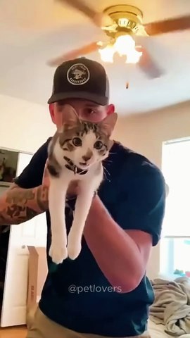 The last oneðð #cat #funnycats #pets #funnypets #shorts