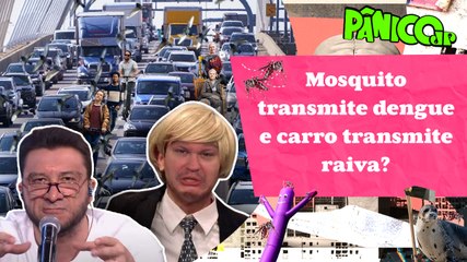 O QUE É PIOR: TRÂNSITO DE PATINETE, VÉIA OU POMBA? ALBA E MORGADO DESCEM A LENHA