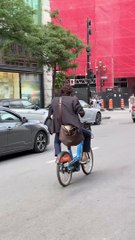 Spotted going to work in Montreal!