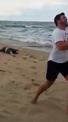 BEACH FAILS! #shorts #2 #bestfailscompilation #beach #funnybeachfail #bestfails #beachfail #failure