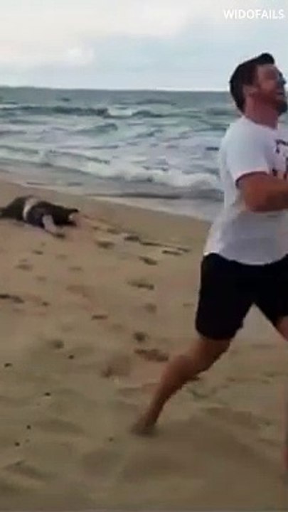 BEACH FAILS! #shorts #2 #bestfailscompilation #beach #funnybeachfail #bestfails #beachfail #failure