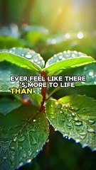 Ever feel like there's more to life than what you see?