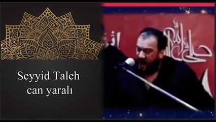 Seyyid Taleh - Zehra yarali can yarali Zehra - 2018