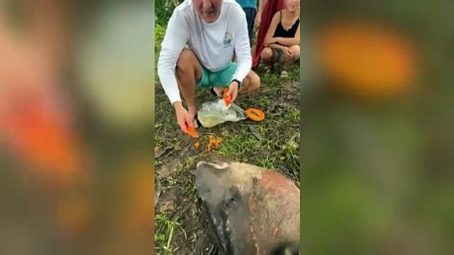 ext-danta-bahia-drake-200824