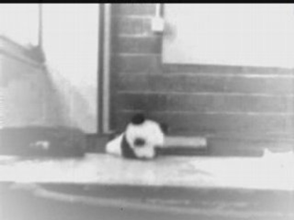 Film de Mr PANDA