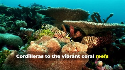 A prayer for the safety of our country | GMA Integrated News AI Series