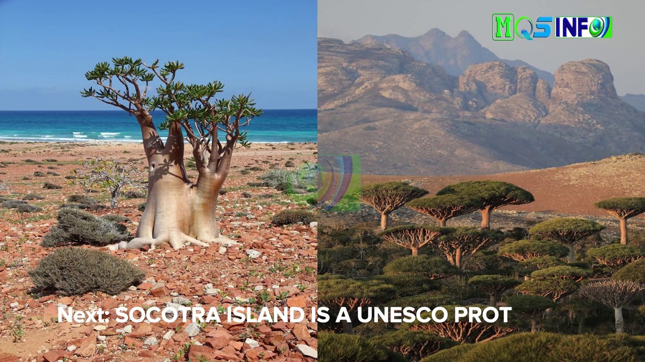 24 Amazing Facts And Knowledge - Science Facts - Did You Know - World Facts - Animal Facts - MQSinfo