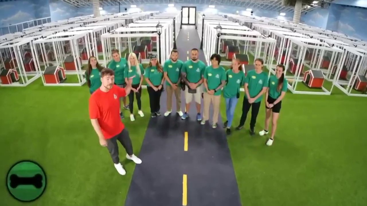 I+Rescued+100+Abandoned+Dogs+!+Full+video+Hindi+Dubbed+!+Mrbeast+Hindi+!+#videocontents