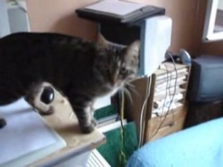 Picco range mon linge 3