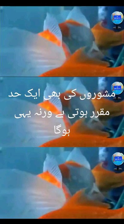 مشورے کی بھی حد ہوتی ہے