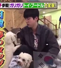 the way this dog asks for attention to Jin